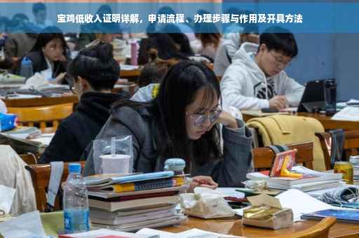 宝鸡低收入证明详解，申请流程、办理步骤与作用及开具方法