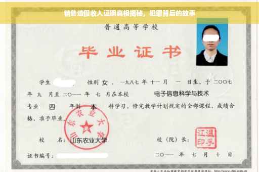 销售造假收入证明真相揭秘，犯罪背后的故事