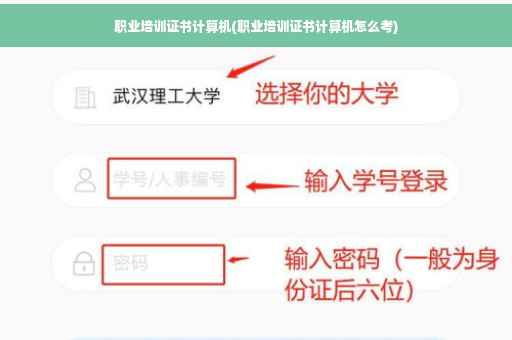职业培训证书计算机(职业培训证书计算机怎么考)