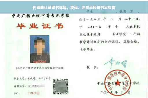 代理转让证明书详解，流程、注意事项与书写指南