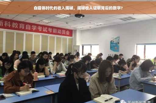 自媒体时代的收入揭秘，揭秘收入证明背后的数字?