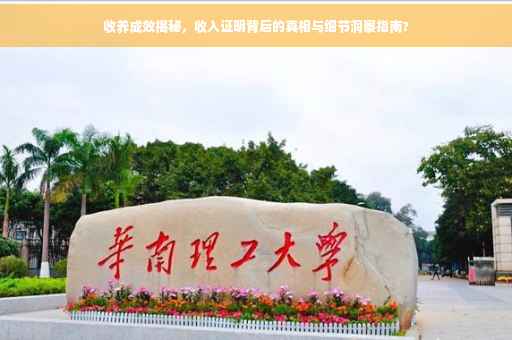 收养成效揭秘，收入证明背后的真相与细节洞察指南?
