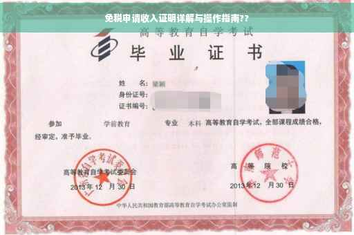 免税申请收入证明详解与操作指南??