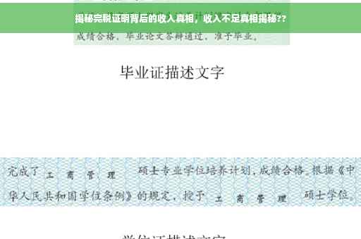 揭秘完税证明背后的收入真相，收入不足真相揭秘??