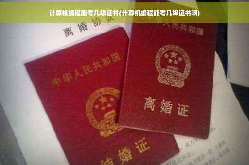 计算机编程能考几级证书(计算机编程能考几级证书啊)