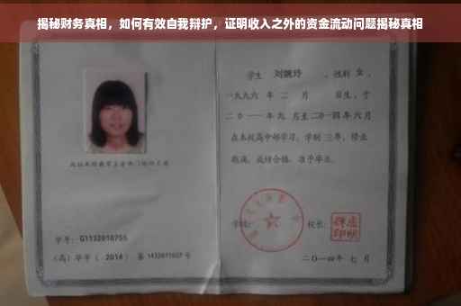 揭秘财务真相，如何有效自我辩护，证明收入之外的资金流动问题揭秘真相