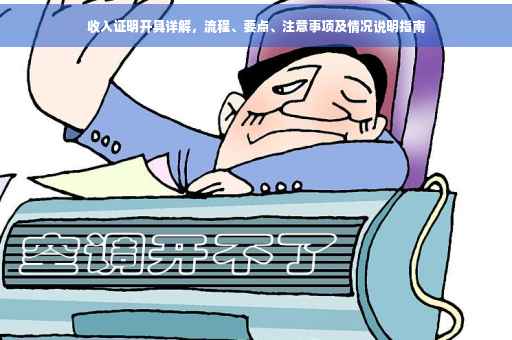 收入证明开具详解，流程、要点、注意事项及情况说明指南