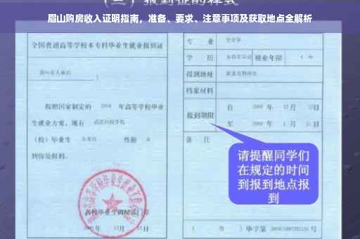 眉山购房收入证明指南，准备、要求、注意事项及获取地点全解析