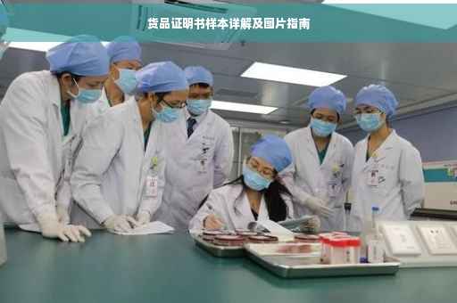 货品证明书样本详解及图片指南