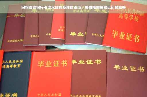 网银查询银行卡流水攻略及注意事项，操作指南与常见问题解答