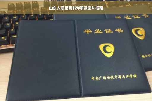 山东入院证明书详解及图片指南