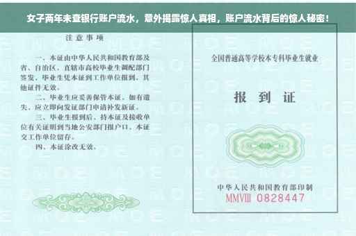 女子两年未查银行账户流水，意外揭露惊人真相，账户流水背后的惊人秘密！
