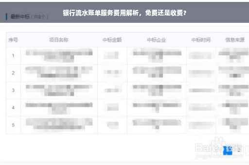 银行流水账单服务费用解析，免费还是收费？