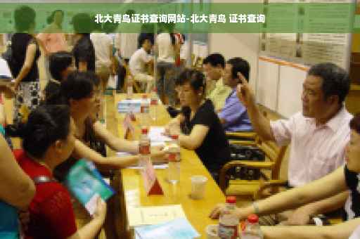 北大青鸟证书查询网站-北大青鸟 证书查询