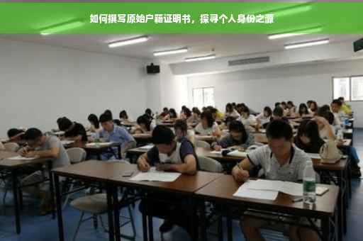 如何撰写原始户籍证明书，探寻个人身份之源