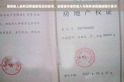 揭秘收入纳税证明截图背后的故事，自媒体作者的收入与税务真相揭秘图片展示