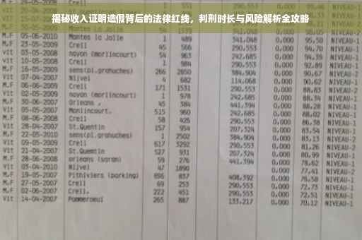 揭秘收入证明造假背后的法律红线，判刑时长与风险解析全攻略