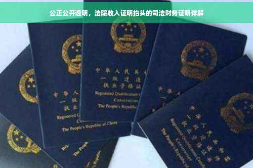 公正公开透明，法院收入证明抬头的司法财务证明详解