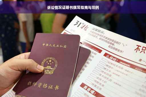 诉讼情况证明书撰写指南与范例