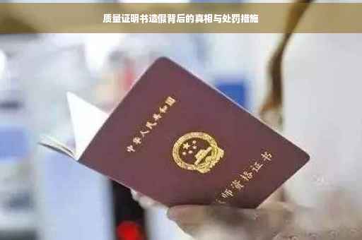 质量证明书造假背后的真相与处罚措施
