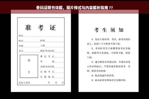骨科证明书详解，图片格式与内容解析指南 ??