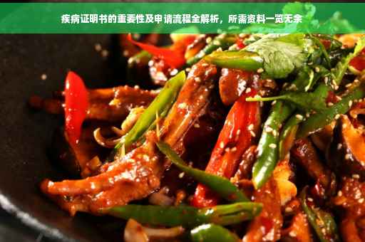 疾病证明书的重要性及申请流程全解析，所需资料一览无余