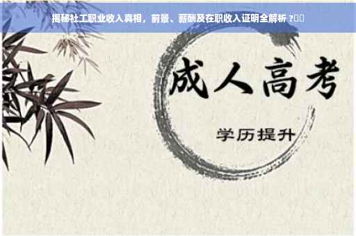 揭秘社工职业收入真相，前景、薪酬及在职收入证明全解析 ?⚡️