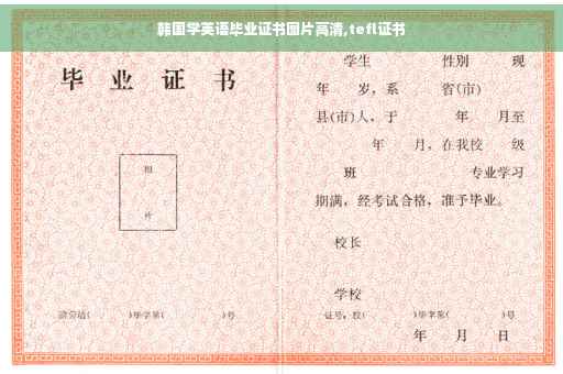 韩国学英语毕业证书图片高清,tefl证书