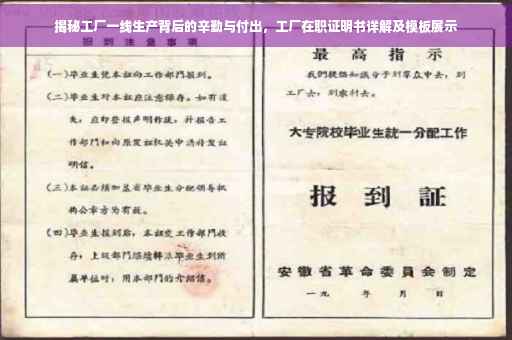 揭秘工厂一线生产背后的辛勤与付出，工厂在职证明书详解及模板展示