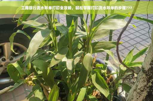 工商银行流水账单打印全攻略，轻松掌握打印流水账单的步骤???