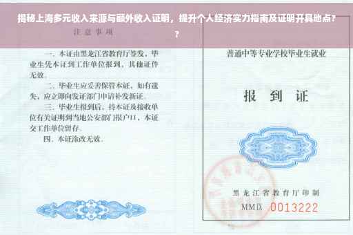 揭秘上海多元收入来源与额外收入证明，提升个人经济实力指南及证明开具地点??