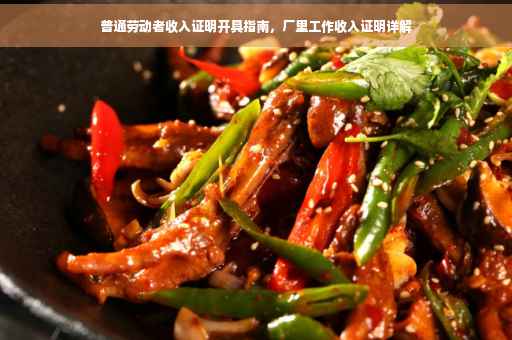 普通劳动者收入证明开具指南，厂里工作收入证明详解