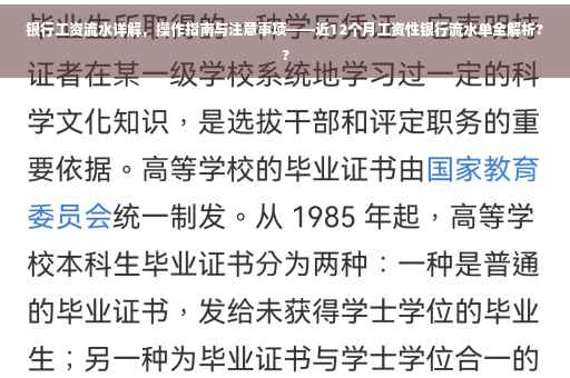 银行工资流水详解，操作指南与注意事项——近12个月工资性银行流水单全解析??