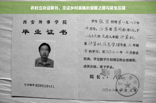 农村立功证明书，见证乡村英雄的荣耀之路与诞生历程