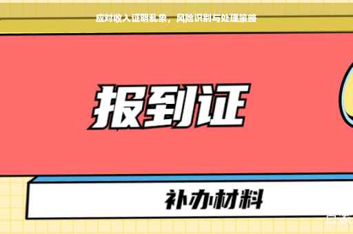 应对收入证明乱象，风险识别与处理策略