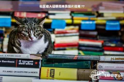 社区收入证明范本及图片指南 ??