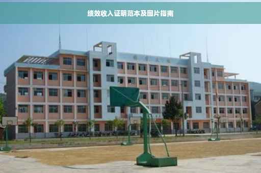 绩效收入证明范本及图片指南