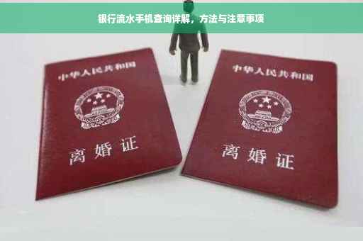 银行流水手机查询详解，方法与注意事项