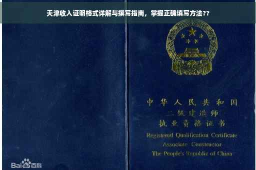 天津收入证明格式详解与撰写指南，掌握正确填写方法??