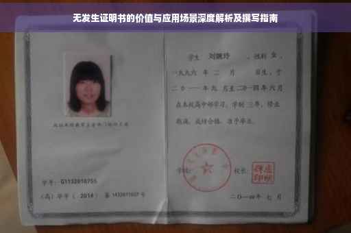 无发生证明书的价值与应用场景深度解析及撰写指南