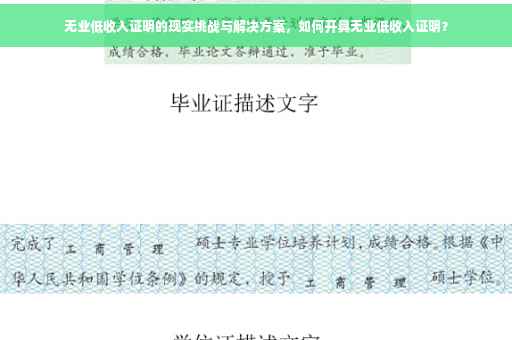 无业低收入证明的现实挑战与解决方案，如何开具无业低收入证明？