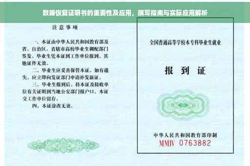 数据恢复证明书的重要性及应用，撰写指南与实际应用解析