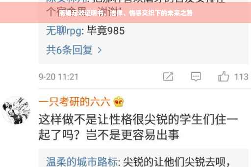 离婚起效证明书，法律、情感交织下的未来之路