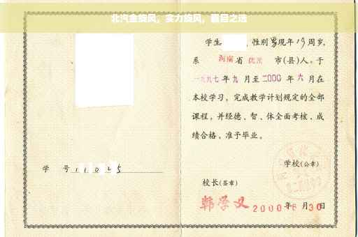 北汽金旋风，实力旋风，瞩目之选