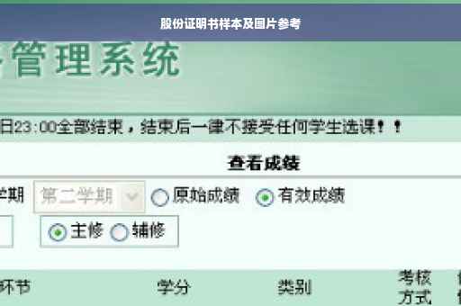 股份证明书样本及图片参考