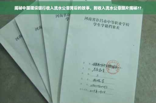 揭秘中国建设银行收入流水公章背后的故事，附收入流水公章图片揭秘??