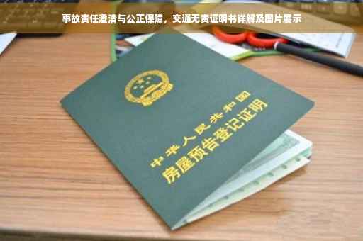 事故责任澄清与公正保障，交通无责证明书详解及图片展示