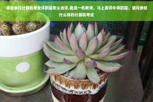 事业单位计算机专业评职称怎么去评,我是一名教师，马上要评中级职称，请问参加什么样的计算机考试