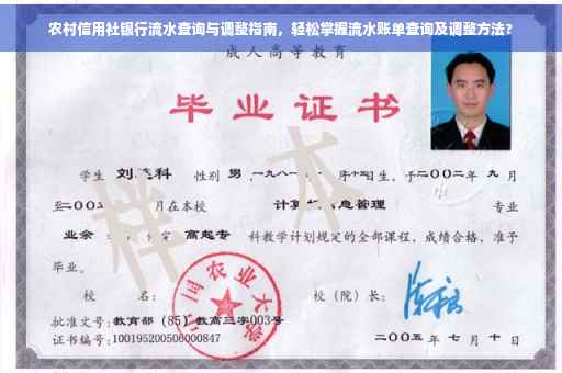 农村信用社银行流水查询与调整指南，轻松掌握流水账单查询及调整方法?