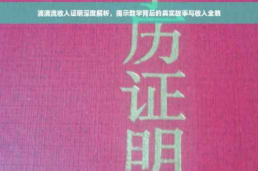 滴滴流收入证明深度解析，揭示数字背后的真实故事与收入全貌
